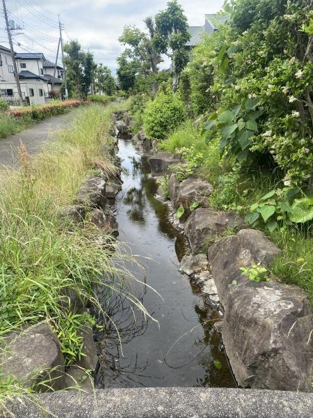 坂戸市にっさい花みず木５丁目の中古一戸建て