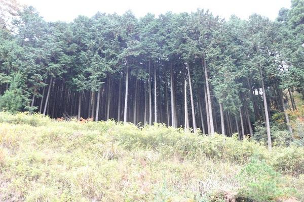 朝来市山東町金浦の土地