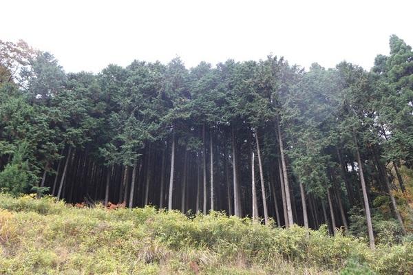 朝来市山東町金浦の土地