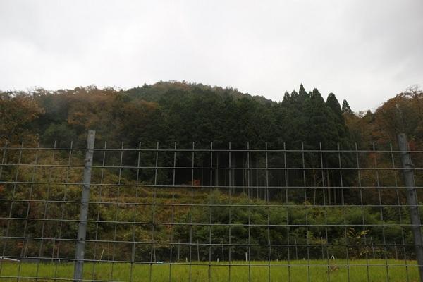 山東町金浦売土地
