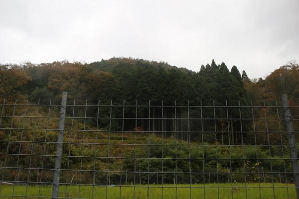 朝来市山東町金浦の土地