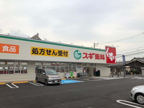 ヴェルシティ東大阪スカイ(スギ薬局東大阪楠根店)