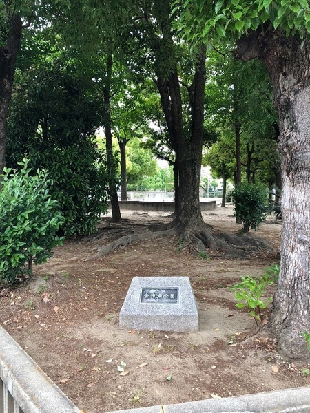 シャトー・サンパークスクエア(今津南公園)