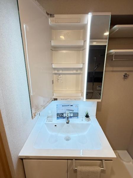 ハイム鴻池(洗面台・洗面所)