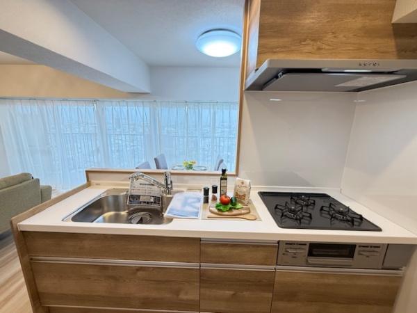 ハイム鴻池(キッチン)