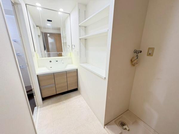 グランコート鴻池新田(洗面台・洗面所)