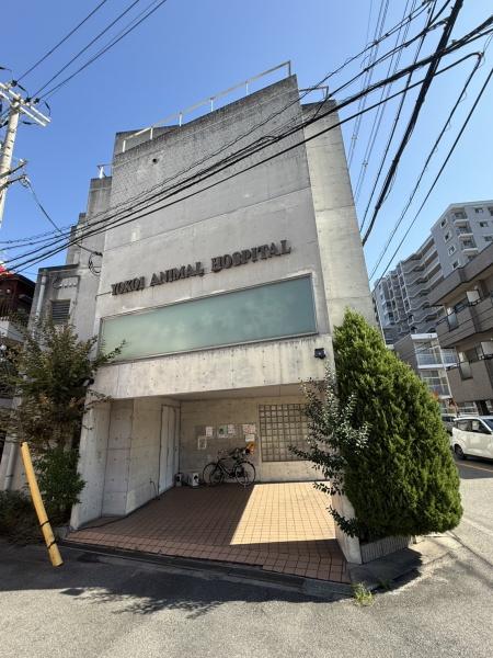 東大阪市中鴻池町１丁目の中古一戸建て(横井動物病院)