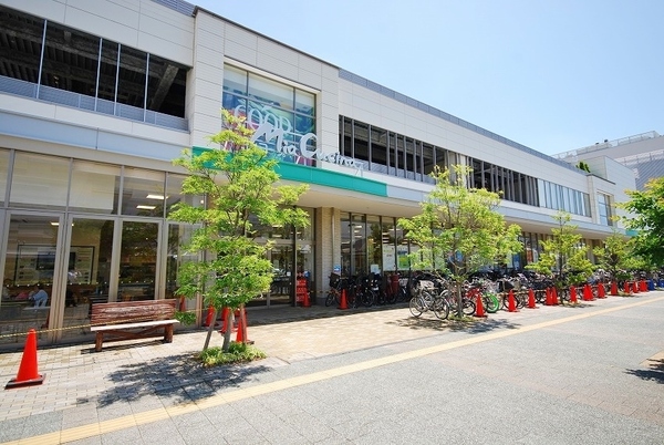 藤沢市羽鳥３丁目の土地(ユーコープ　ミアクチーナ湘南辻堂駅前店)