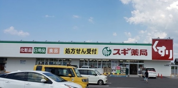 彦根市新海浜２丁目の中古一戸建て(スギ薬局能登川店)