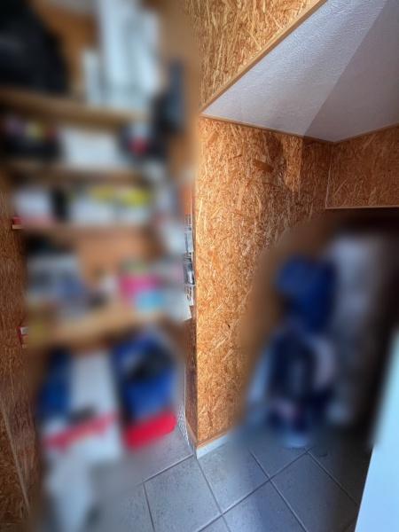 犬上郡豊郷町大字沢の中古一戸建て(収納)