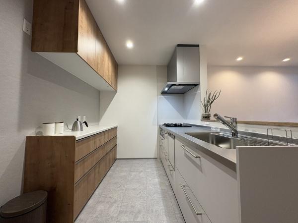 長浜市地福寺町　平屋モデルハウス
