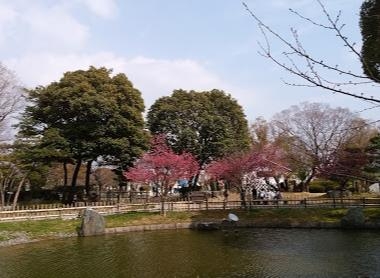 高槻市高西町の土地(城跡公園)