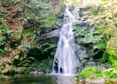 高槻市東城山町の中古一戸建て(摂津峡公園)