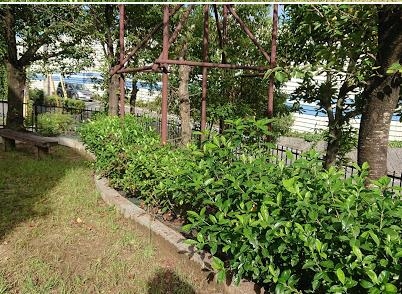 茨木市北春日丘２丁目の土地(北春日丘1丁目緑地)