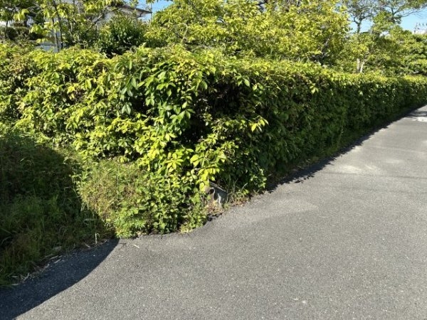 茨木市宿久庄1丁目建築条件なし売り土地