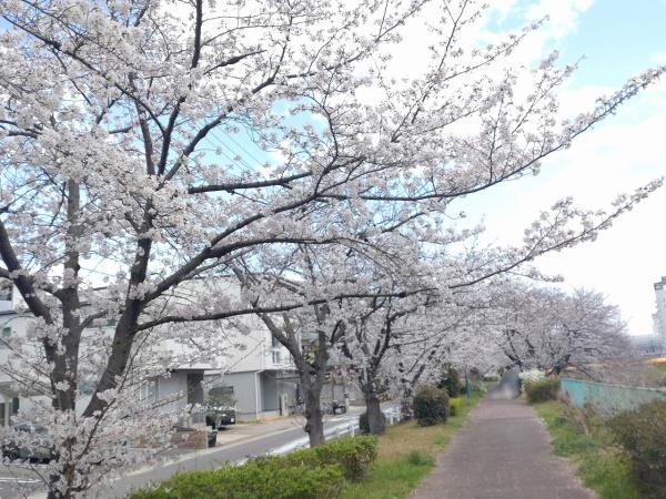 サンマンションアトレ井口公園