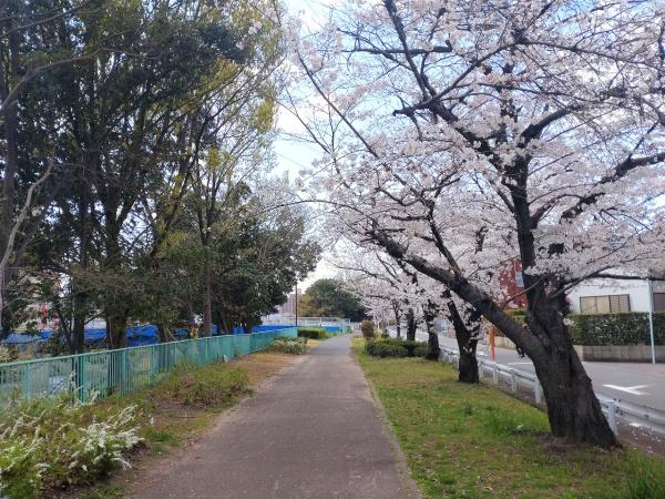 サンマンションアトレ井口公園