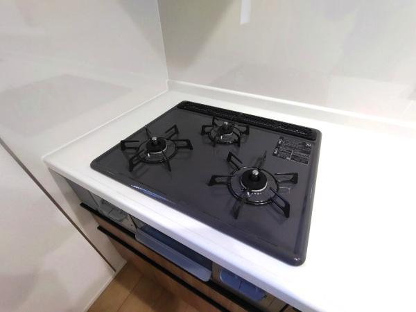 グラファーレ瑞穂区亀城町　全1棟