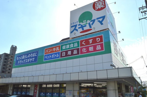 ライオンズマンション田辺(ドラッグスギヤマ石川橋店)