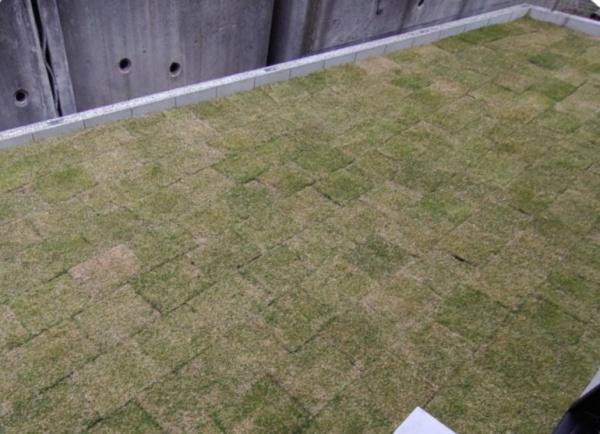 ハートフルタウン天白区土原8期　D号棟