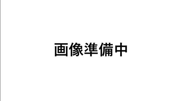 メゾン下山(B&Dドラッグストア八勝通店)