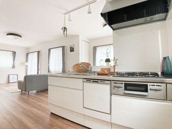 新築テラスハウス　フレスト星ヶ丘駅　A2棟