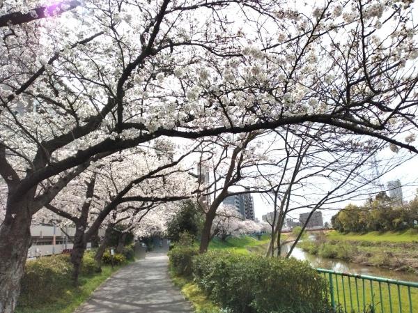 平針原住宅2号棟