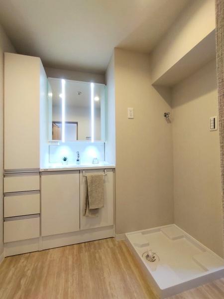 プラザ・フェニックス(洗面台・洗面所)