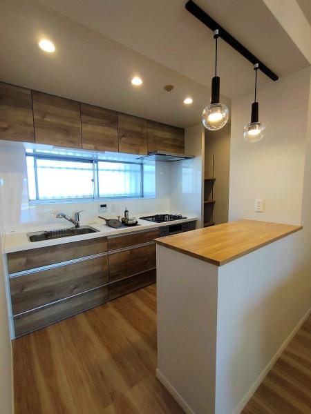 プラザ・フェニックス(キッチン)