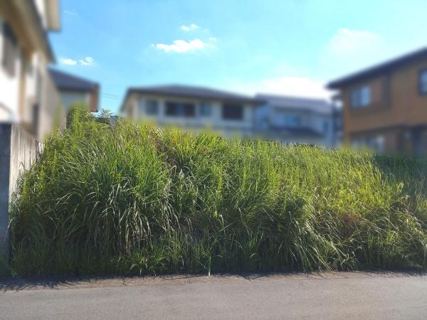 土地　天白区元植田2丁目