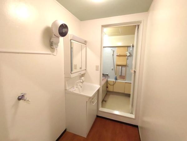 瑞穂スカイマンション(洗面台・洗面所)