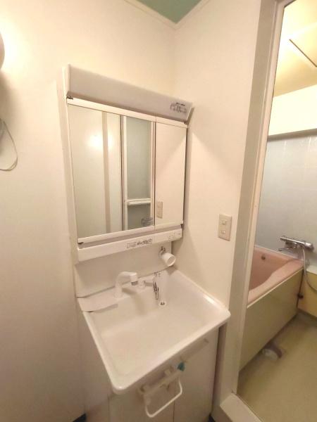 瑞穂スカイマンション(洗面台・洗面所)