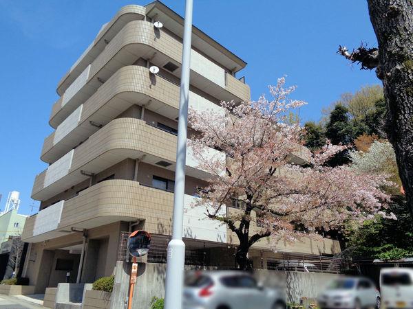 コンセール八事音聞山(その他現地)