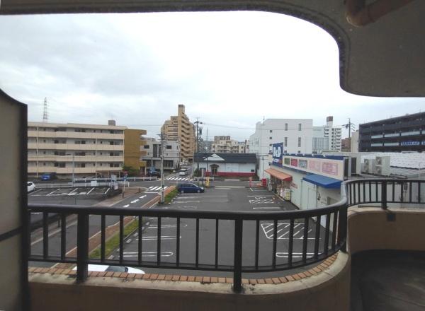 オオタピア植田