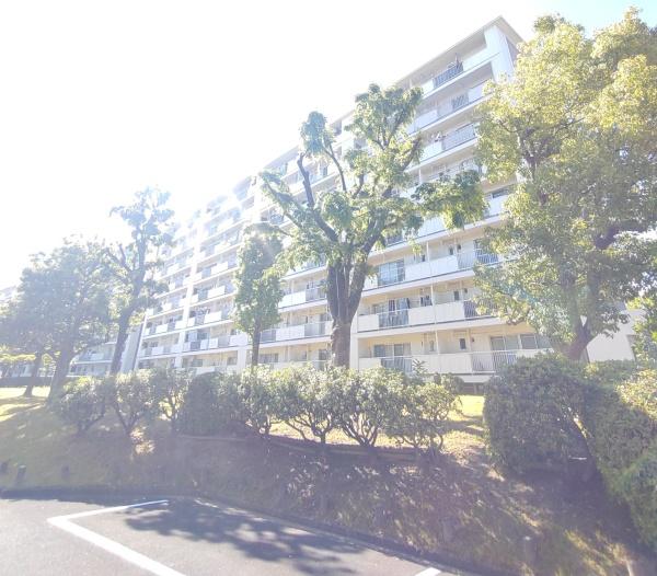 藤の木団地　7号棟