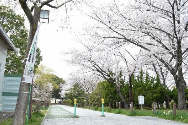 グローリアスヒルズ天白南(細口池公園)