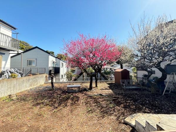 練馬区向山３丁目の中古一戸建て