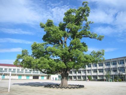 春日井市田楽町の土地(春日井市立鷹来小学校)