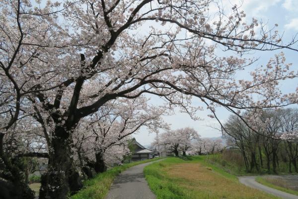 大垣市南一色町の土地(宝和公園)