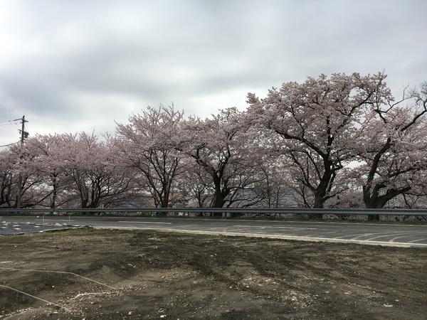 大垣市墨俣町さい川の売土地