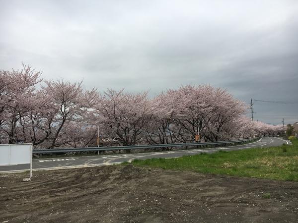 大垣市墨俣町さい川の売土地