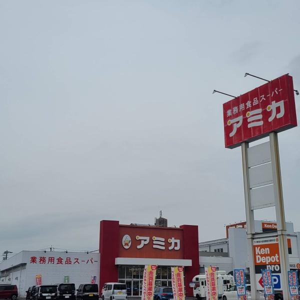 大垣市林町7丁目の土地(アミカ大垣北店)