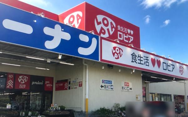 大垣市領家町１丁目の土地(ロピア大垣店)