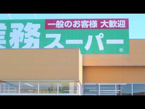 リッツタウン ひたちなか市足崎1期 9号棟(業務スーパーひたちなか店)