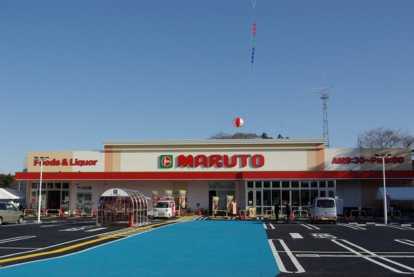 ケイアイテラス 水戸市元吉田町1期 全1棟(マルト元吉田店)