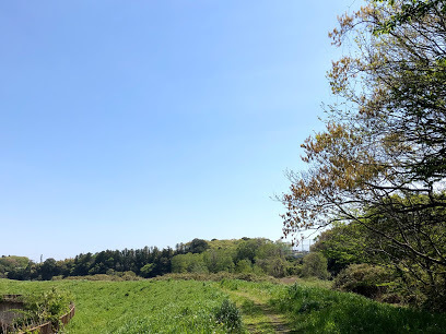 リーブルガーデン 水戸市見川第14 2号棟(桜川緑地)