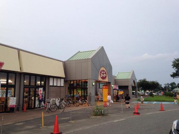 リーブルガーデン 那珂市菅谷第35 全1棟(カスミFOOD OFFストッカーサンモリノ那珂店)