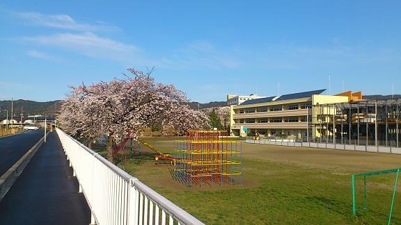 ケイアイリガーレ 日立市桜川町2期 全1棟(日立市立油縄子小学校)