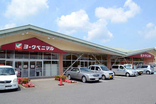 リーブルガーデン　ひたちなか市田彦10期　2号棟(ヨークベニマル田彦西店)