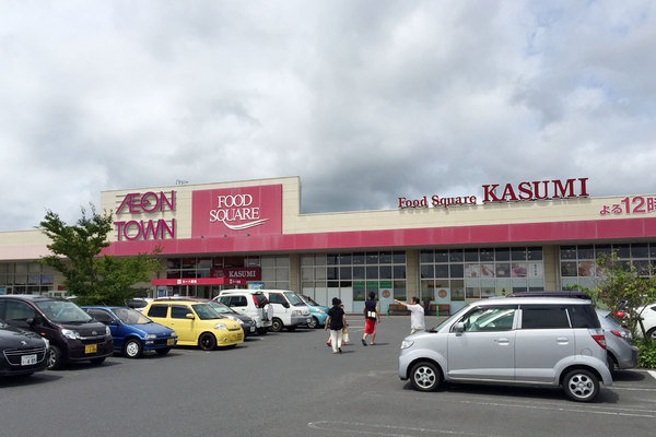水戸市平須町の中古一戸建て(カスミフードスクエアイオンタウン水戸南店)